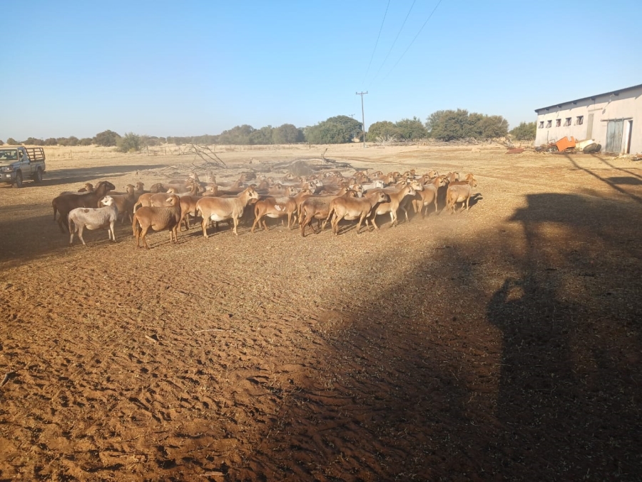 Bedroom Property for Sale in Vryburg Rural North West